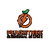 Peachtree Electrical