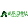 Auriemma Electric