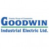 Godwin Electric